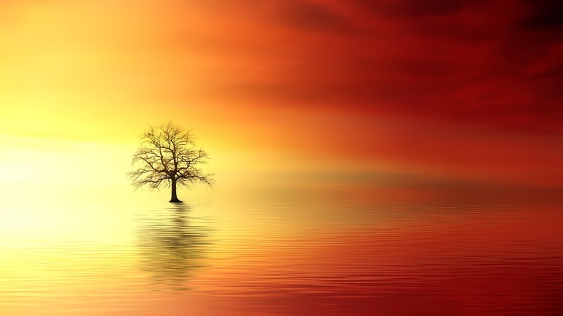 Creating a Magical Atmosphere