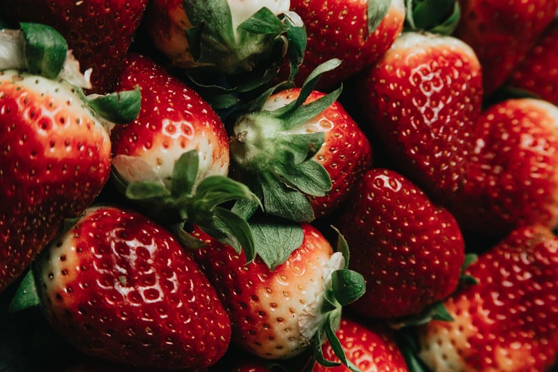 Wholesome Nature-Inspired Recipes