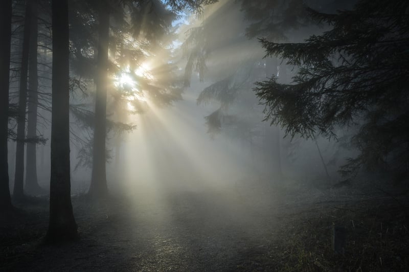 Whispering Pines Retreat